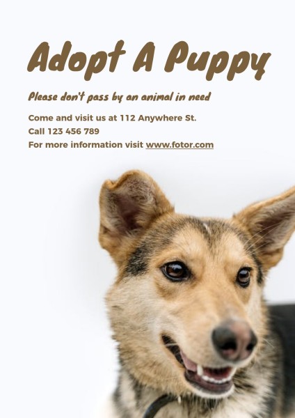 White Adopt A Puppy