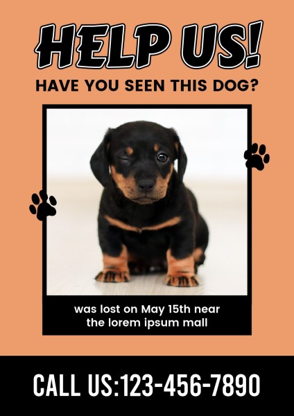Black And Brown Missing Dog Photo