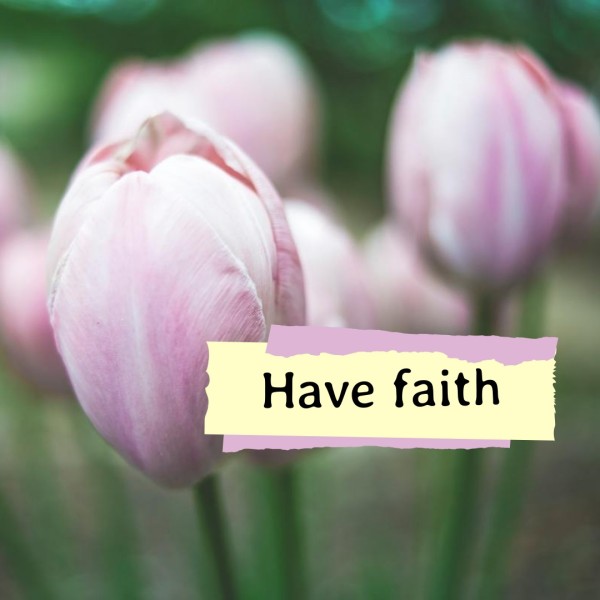 Pink Flower Life Quote