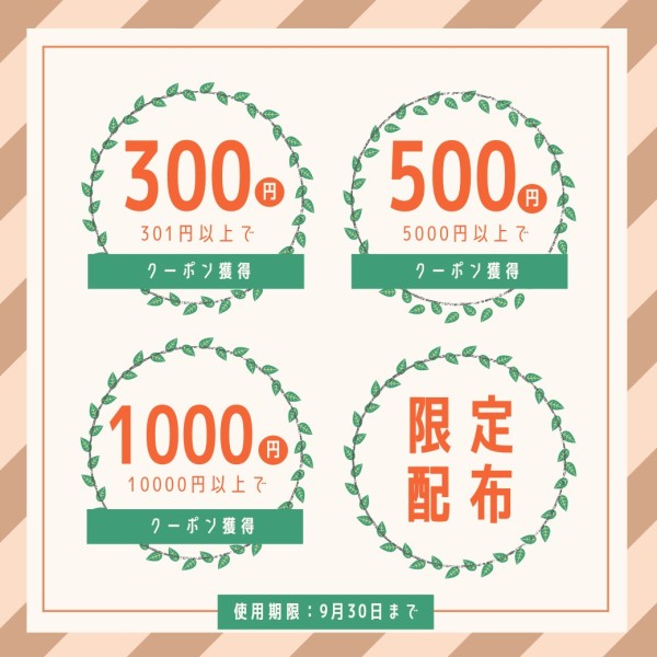 クーポンセール割引プロモーション