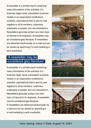 high shcool, dream school, study, School Newsletter Template