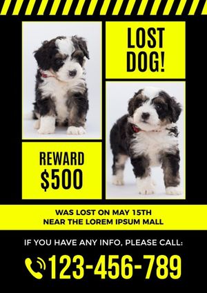 lost, pet, cat, Black And Yellow Missing Dogs Ad Poster Template
