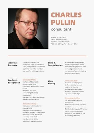 consultant, consultancy, business, Executiv CV Resume Template