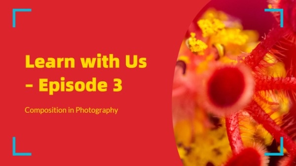 Learn With Us YouTube Thumbnail Template