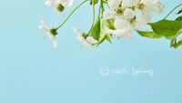 flower, greeting, nature, Light Green And Blue Spring Blossom Desktop Wallpaper Template
