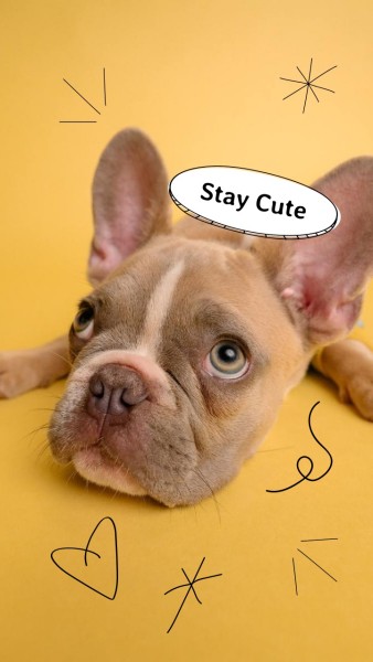Yellow Puppy Quote
