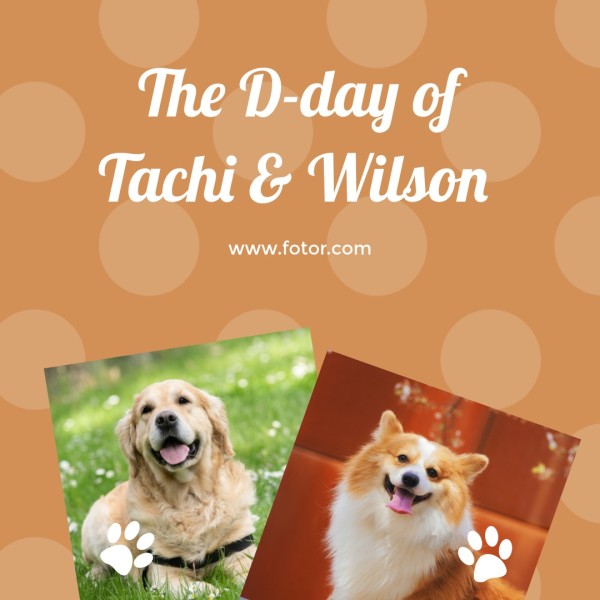 Dog Friendship Collage