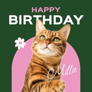 cat, greeting, celebration, Green And Pink Simple Pets Birthday Instagram Post (Square) Template