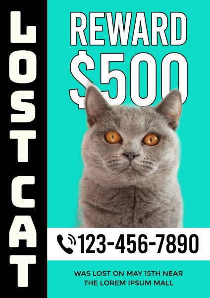 Green Black Missing Cat Photo