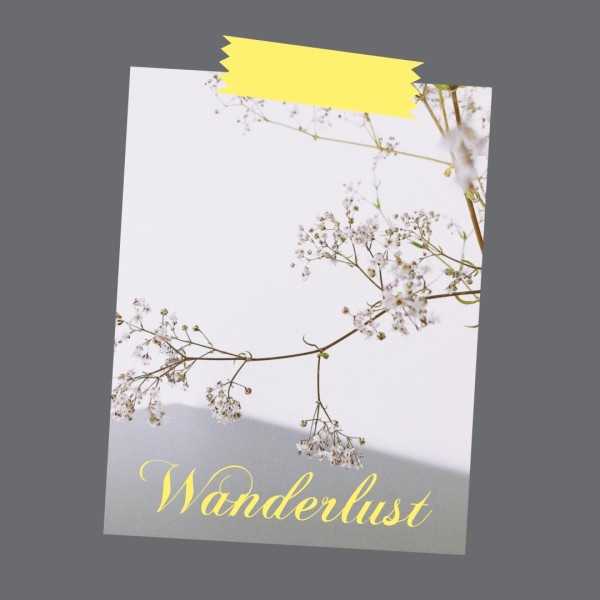 Gray Flower Tree Life Quote